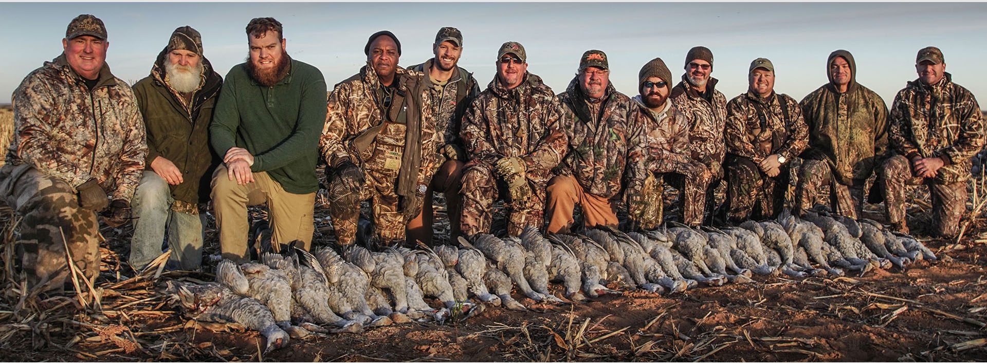 Texas Quail Hunting